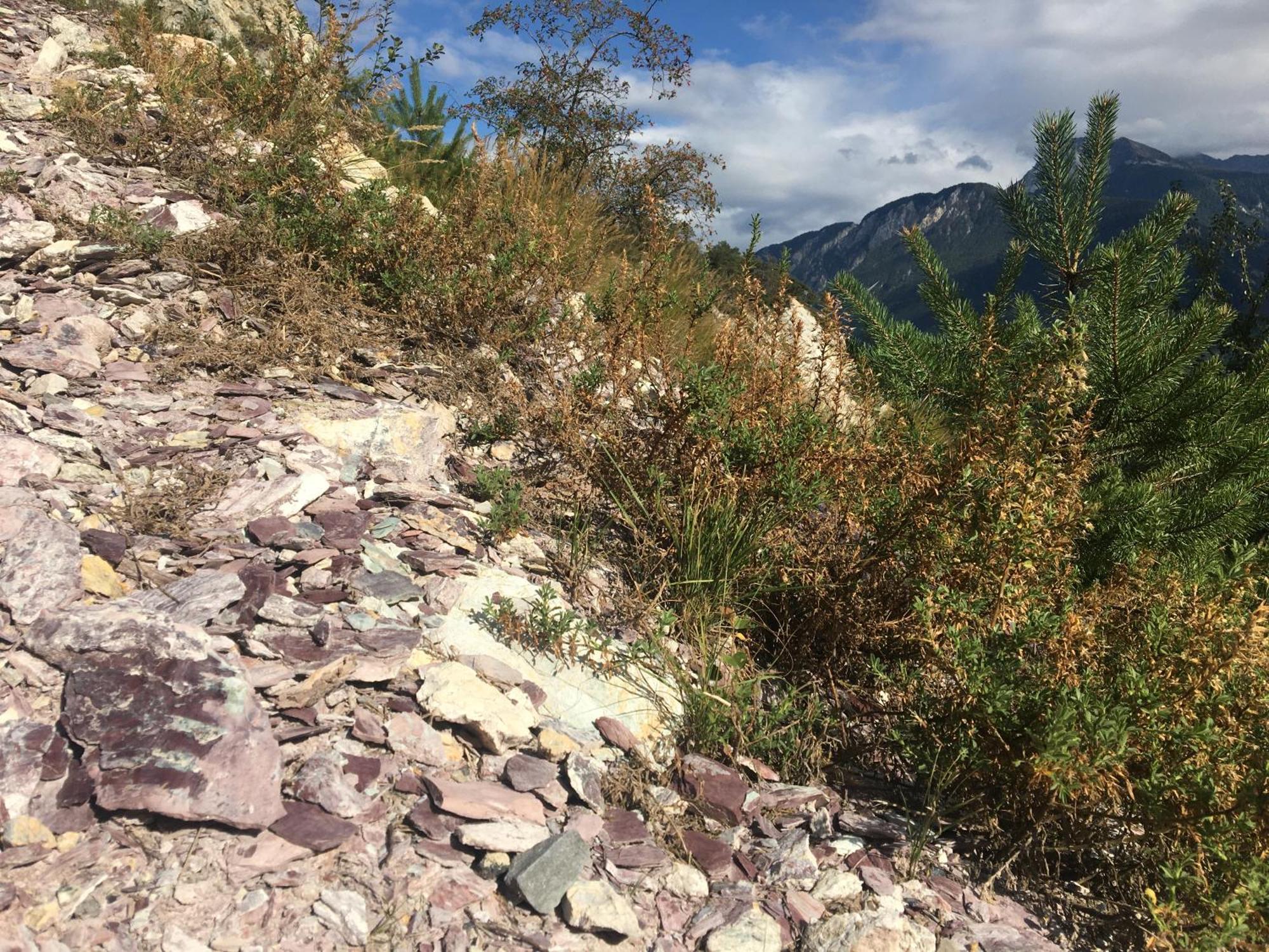 B&B La Forge De Diogne Crans-Montana Zewnętrze zdjęcie